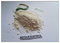 Extrait naturel de racine de Cuspidatum de Polygonum de la poudre 99% d'extrait d'usine de Resveratrol de transport