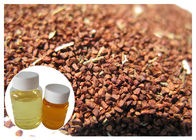 Abaissez la grosse huile de Biennis d'Oenothera de sang, l'acide linolénique gamma liquide 10% d'huile d'oenothère biennale
