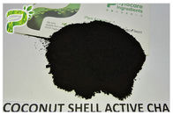 Dents de charbon de bois de Shell Plant Extract Powder Activated de noix de coco blanchissant la catégorie comestible