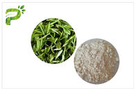 Anti- suppléments diététiques naturels de carie, extrait CAS de thé vert de la pâte dentifrice EGCG 989 51 5