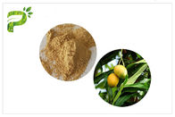 Poudre naturelle d'extrait d'usine Mangiferin anti-inflammatoire de feuille de mangue