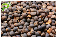 Détergent naturel d'usine d'extrait de camélia d'Abel de graine d'extrait de saponines oleifera naturelles de thé
