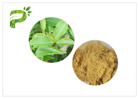 CLHP de 2.0ppm 60 Mesh Green Health Powder avec des polyphénols de plus haut thé