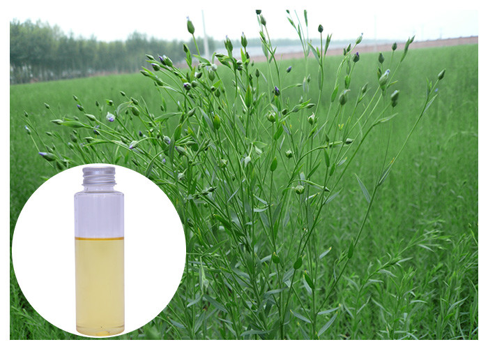 L'alpha huile de semence d'oeillette organique d'acide linolénique, huile de semence d'oeillette complète 45 - 60%