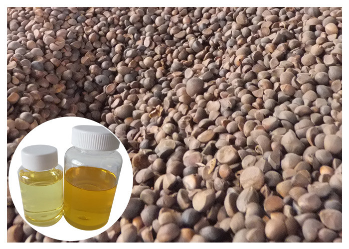 Peau hydratant la couleur jaune pressée à froid d'usine d'extrait d'huile de camélia d'huile naturelle de thé