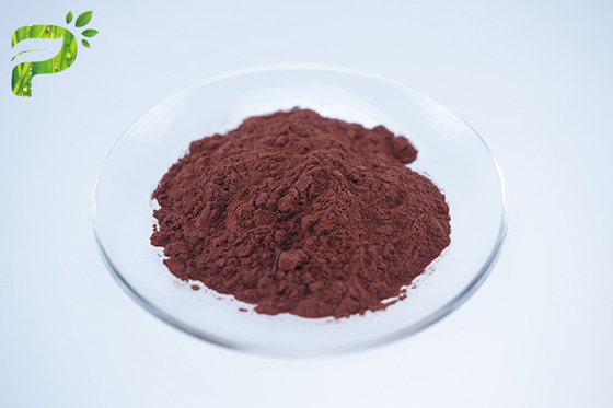 Le thé prémélange la poudre soluble dans l'eau d'extrait de thé noir d'instant