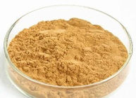 Poudre naturelle antioxydante puissante d'extrait de racine de pissenlit de Brown de suppléments diététiques