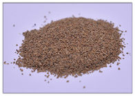 Poudre d'extrait de céleri de 80 mailles, extrait de Graveolens d'Apium de graine de céleri pour l'arthrite