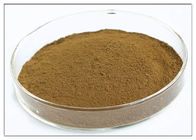 Extraction olive de feuille de couleur de Brown de poudre d'extrait d'usine de l'oleuropéine 20%
