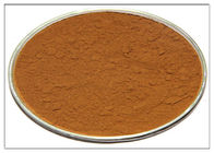 Extrait antioxydant cosmétique de Rosemary, poudre CAS d'extrait de Rosemary 20283 95 5