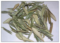 Anti poudre olive naturelle inflammatoire d'extrait de feuille réduisant le mauvais cholestérol