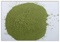 Poudre verte CAS d'anti suppléments inflammatoires naturels d'extrait d'écorce de Bayberry 529 44 2 