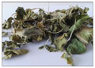 Poudre asiatica de Centella d'extrait de fines herbes cosmétique d'usine avec Madecassoside 90% CAS 34540 22 2