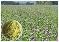 Extrait de fines herbes jaune-clair d'usine de sang inférieur gros CAS 65666 de graine de chardon de lait 07 1