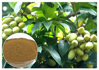 Ingrédient naturel d'extrait olive naturel de feuille d'oleuropéine avec l'essai de CLHP