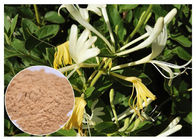 Poudre chlorogénique antibactérienne d'extrait de fleur de chèvrefeuille de l'acide 5%