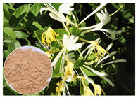 Poudre chlorogénique d'extrait de fleur de chèvrefeuille de l'acide 5% d'anti extraits naturels bactériens de fleur