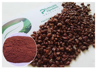 Anti-vieillissement de l'extrait sain de pépin de raisin de soin, extrait de raisin rouge avec Proanthocyanidins