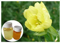 Acide linolénique gamma d'Omega 6 naturels de suppléments diététiques d'huile d'oenothère biennale pour la pharmacie