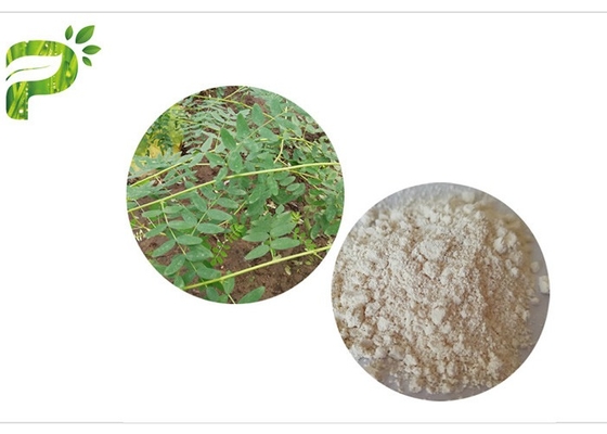 CAS 84687 43 extrait Astragaloside IV 98% de Membranaceus de 4 astragales anti-vieillissement