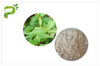 CAS 989 cosmétique d'extrait de thé vert de 51 5 EGCG évalue l'ingrédient de gallate d'Epigallocatechin
