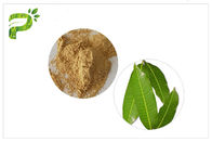 Suppléments inflammatoires naturels de Mangiferin anti, extrait CAS 4773 de feuille de mangue 96 0