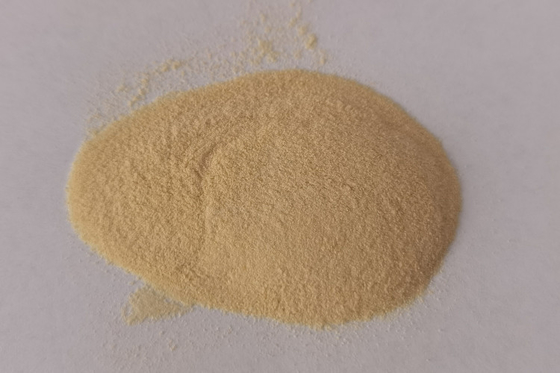 Extrait d' ashwagandha soluble dans l' eau