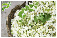 L'énergie naturelle de bourgeon floral complète la rutine de poudre de vitamine p de l'extrait de cognassier du Japon de Sophora