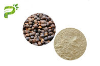 Saponines oleifera de thé d'extrait de graine d'Abel de camélia cosmétique naturel d'ingrédient pour l'émulsifiant