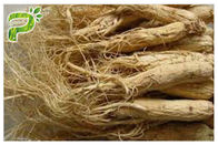 Ginseng de fines herbes de Panax d'extraits en poudre par ingrédient de Ginsenosides pour le supplément diététique