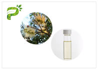 huile satisfaite de mineur de Melaleuca Cajuputi d'huile d'Aromatherapy d'huiles essentielles d'arbre de 50% - de 60%