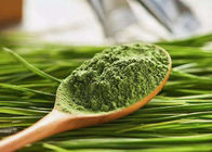 Poudre verte de jus d'herbe d'orge de poudre de santé de 100 mailles pour le complément alimentaire