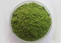 Aucun légume naturel de rouille ne saupoudrent 100 le cadmium de Mesh Spinach Extract Powder 1.0ppm