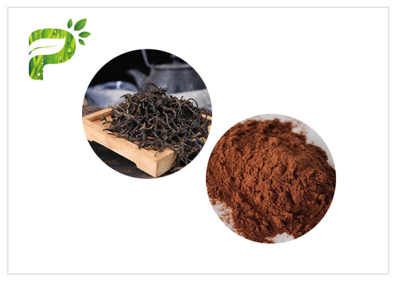Prémélanges de thé avec la poudre d'extrait de thé noir d'instant de café et de lait