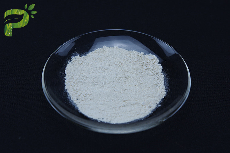 Cytidine Diphosphate-Choline CDP-Choline Citicoline améliore la santé du cerveau CAS n° 987-78-0