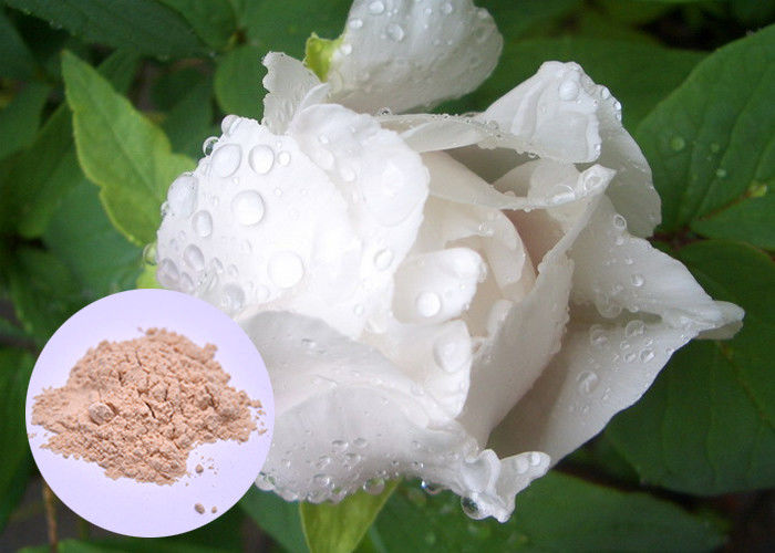 Paeonia Lactiflora de poudre d'extrait d'usine de racine de pivoine pour le blanchiment de peau