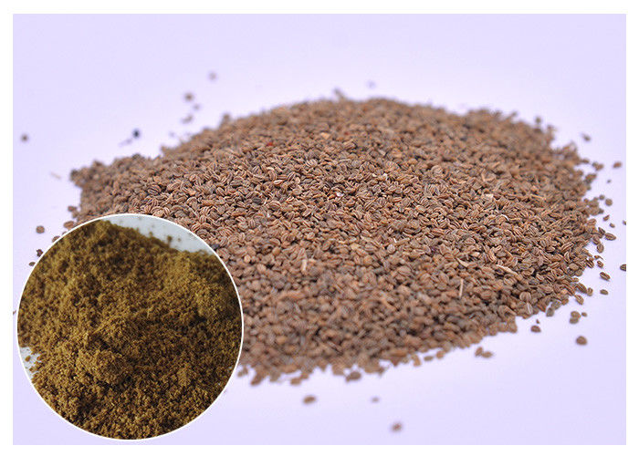Extrait naturel de céleri de suppléments diététiques de poudre de graine pour le rapport 10/1 de goutte