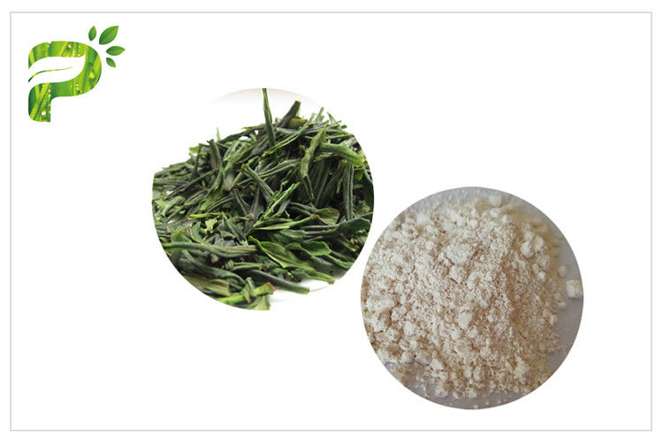 Anti poudre CAS de Cancer anti- de l'oxydation EGCG d'extrait naturel de thé vert 989 51 5