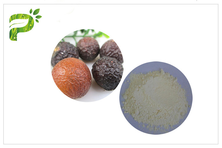 Extrait naturel de Soapnut de saponines d'agent tensio-actif, extraits d'usine d'écrou de savon pour des soins de la peau