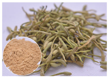 5%, 25% Lonicera japonica Extrait de poudre de fleur de lierre de miel