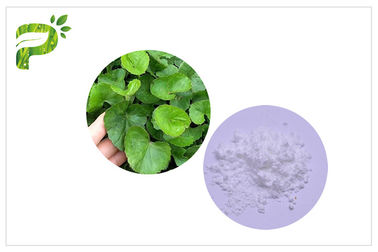 CAS 34540 22 2 Centella Asiatica Extract , Madecassoside Gotu Kola Extract