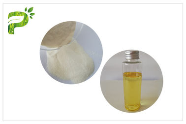 Supplément nutritionnel de couleur d'anti d'oxydation de la vitamine E de la poudre DL-α Tocopheryl poudre blanche d'acétate