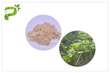 Ampelopsis Grossedentata Extract Dihydromyricetin / DHM for Hangover Syndromes CAS 27200 12 0