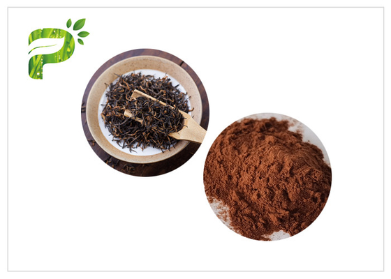 Le thé prémélange la poudre soluble dans l'eau d'extrait de thé noir d'instant